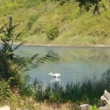 Rusalka * Balchik